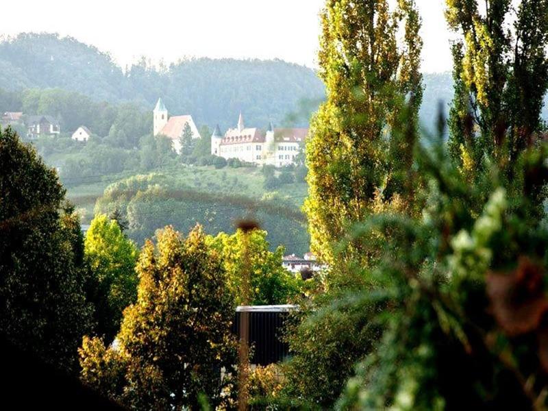 Süd image