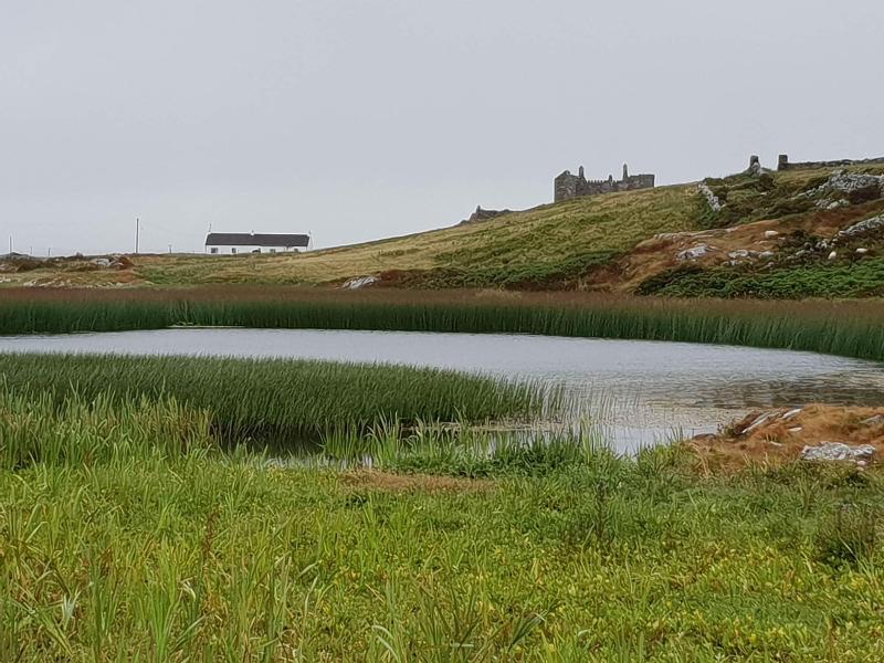 Ballyconneely Cottages — photo 4