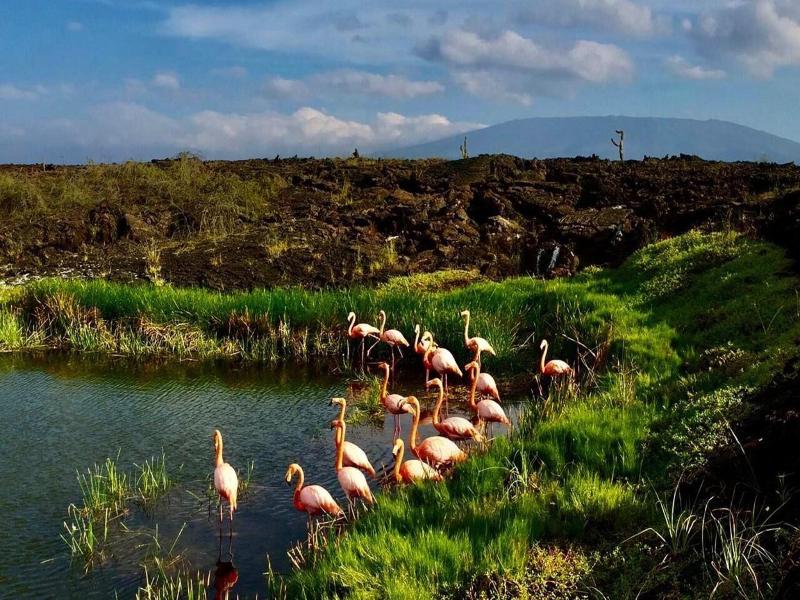 LA ISLA DEL DESCANSO image