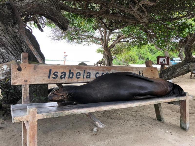 LA ISLA DEL DESCANSO image