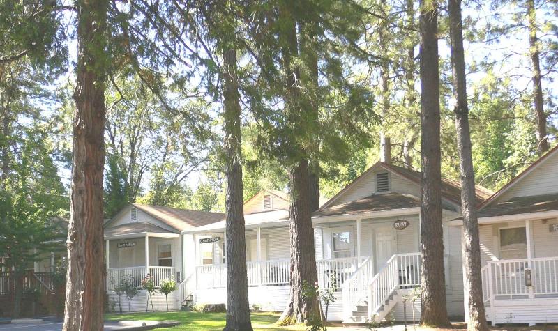 Nevada City Inn image