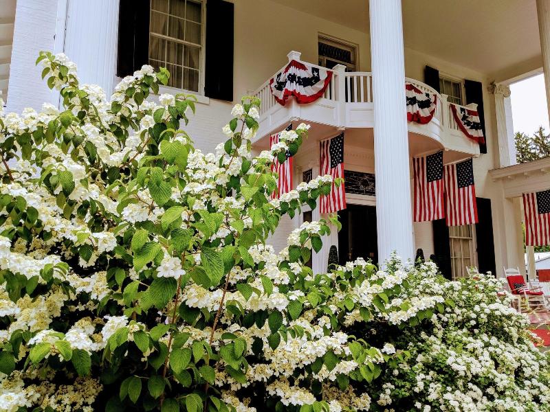Allegiance Bed and Breakfast image