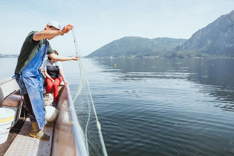 Traunsee image