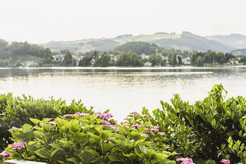 Traunsee image