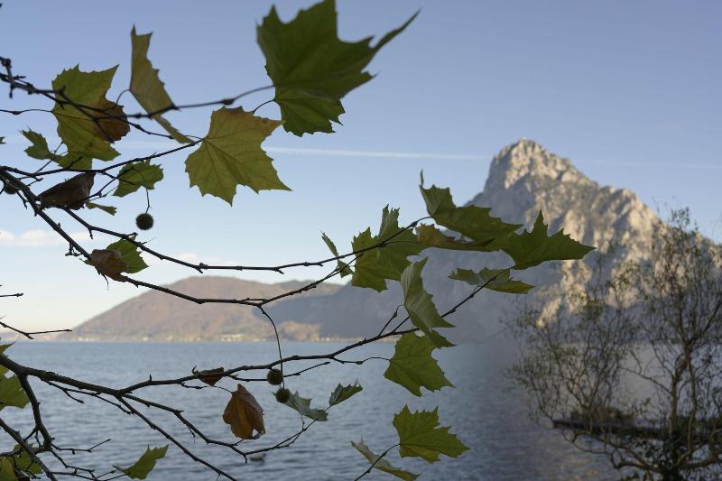 Traunsee image