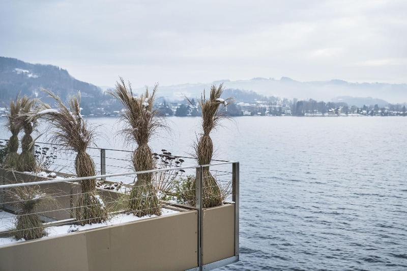 Traunsee image
