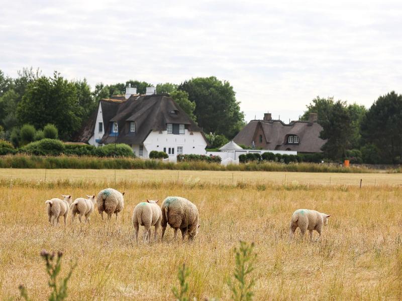 Aubis Hotel Sylt image
