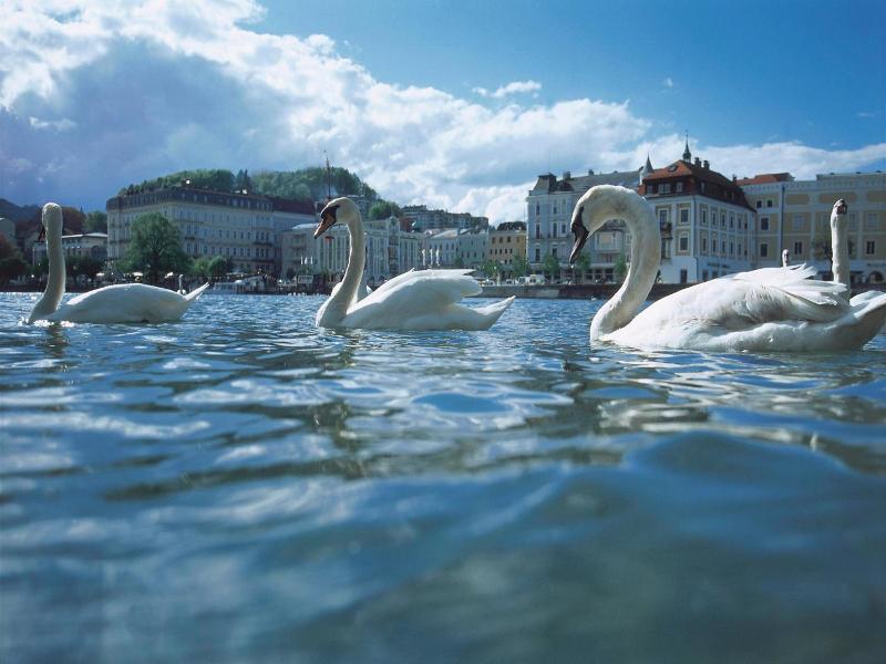 Landhotel Gasthof Grünberg am See image