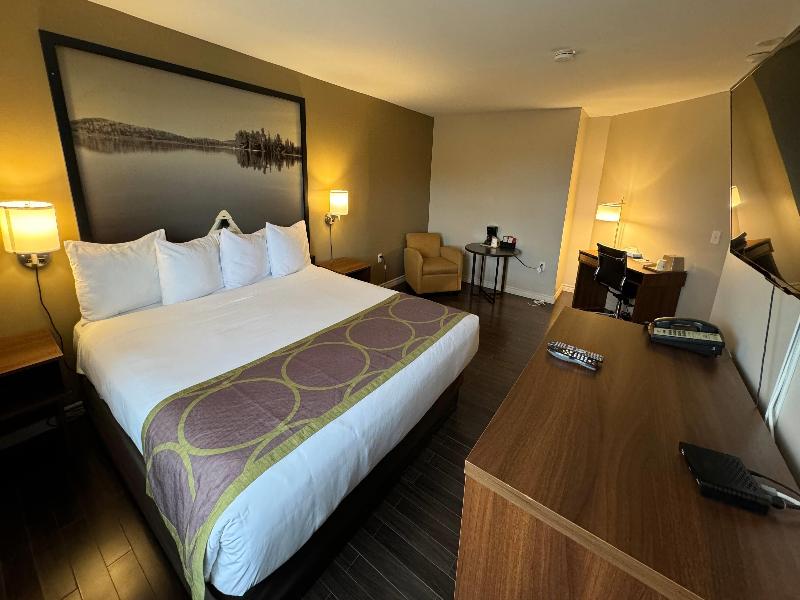 Super 8 By Wyndham Guelph image