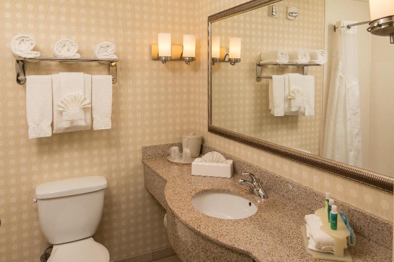 Holiday Inn Express Hotel & Suites Greensboro - Ai image