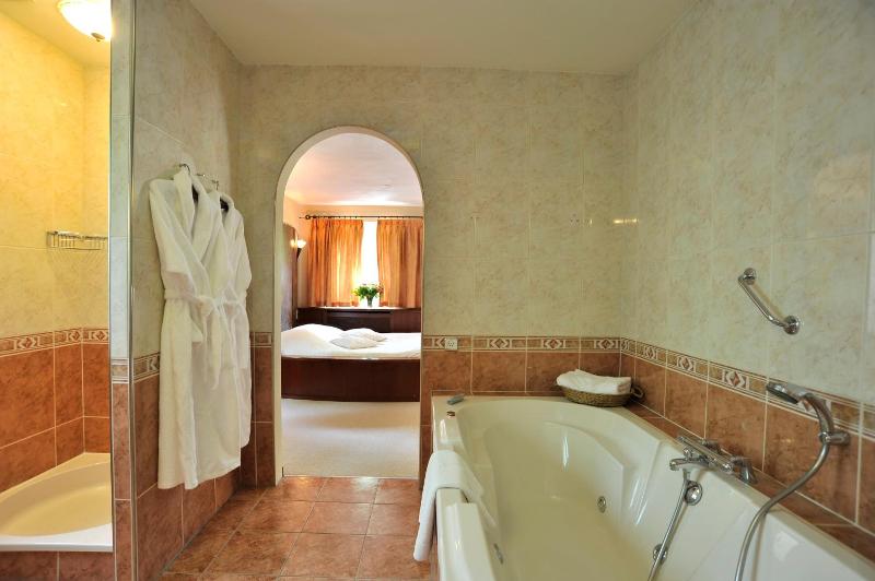 Hotel Mastbosch Breda image