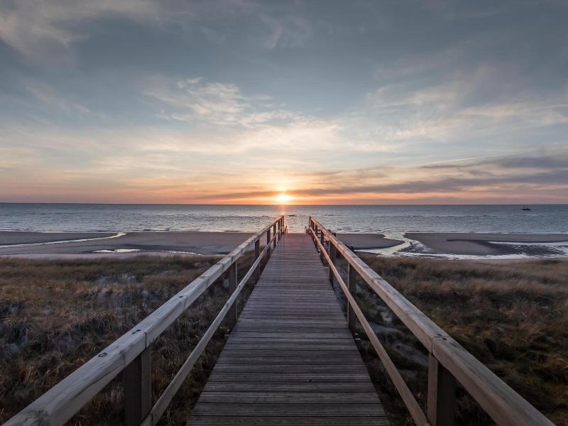 Marin Sylt image