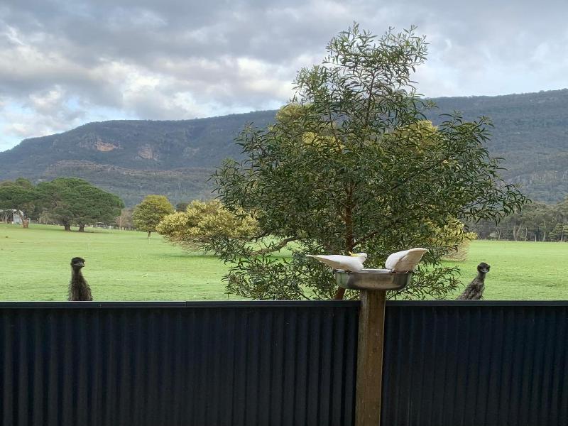 Halls Gap Escape