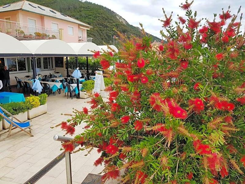 La Lampara image