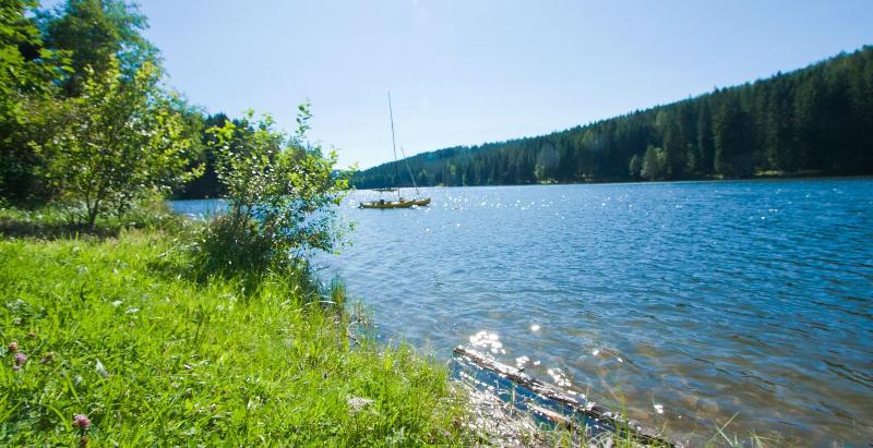 Spengerwirt image
