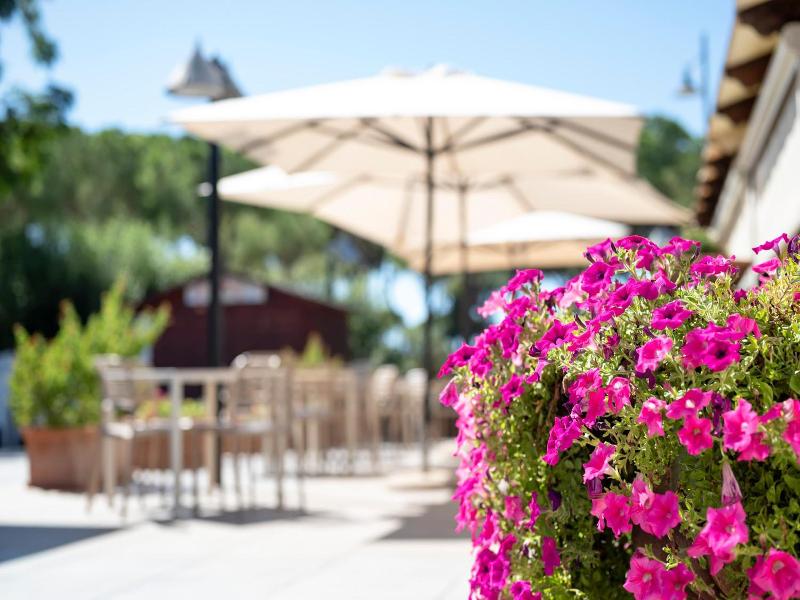 Villaggio il Girasole image