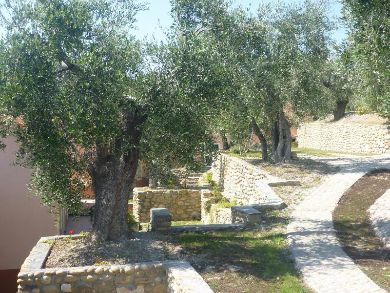 Borgo Verde-Uliveto — general view