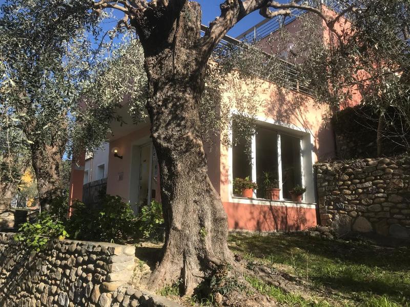 Borgo Verde-Uliveto image