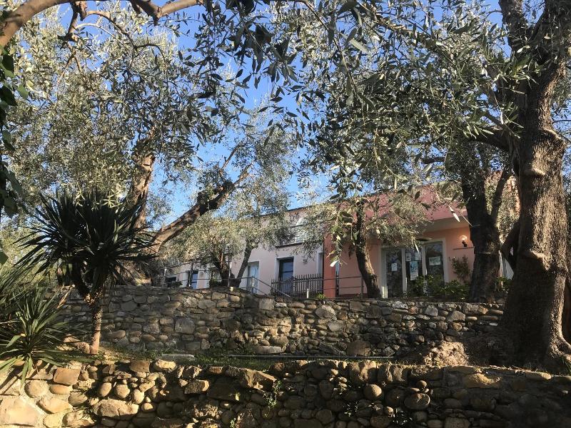 Borgo Verde-Uliveto image