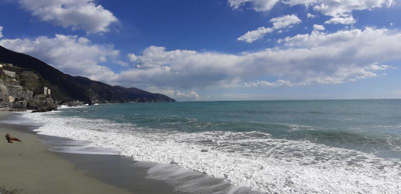 La Branda image