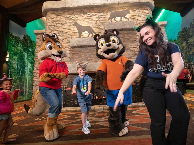 Great Wolf Lodge - Grapevine image