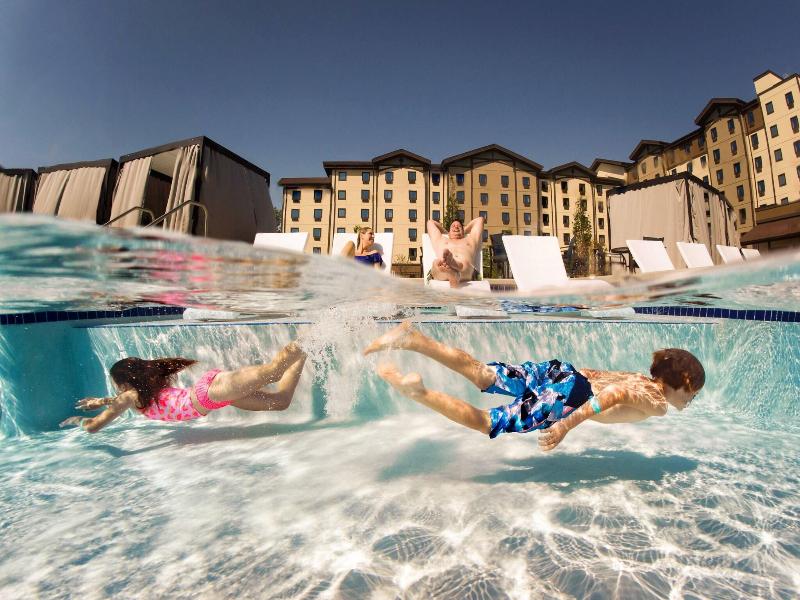 Great Wolf Lodge - Grapevine image