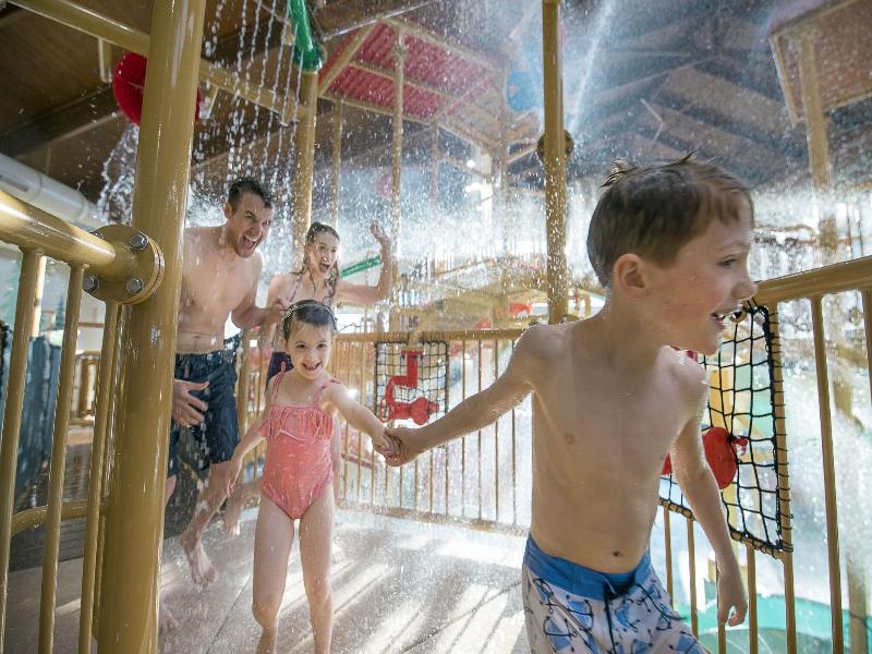 Great Wolf Lodge - Grapevine image