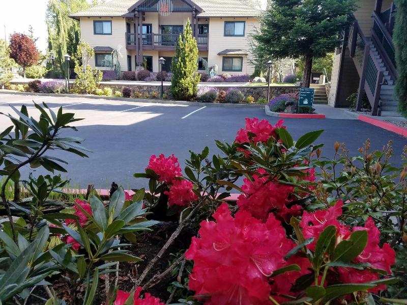 Redwood Motel image