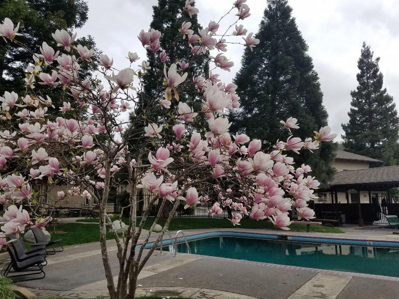 Redwood Motel image