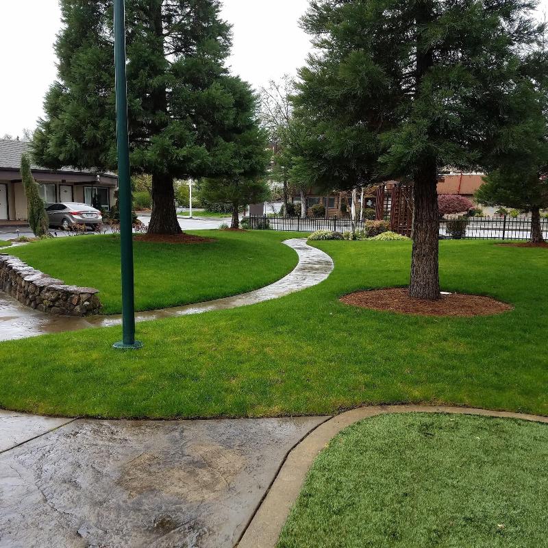Redwood Motel image