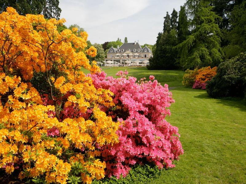 Hôtel Résidence Parc des Eaux-Vives image