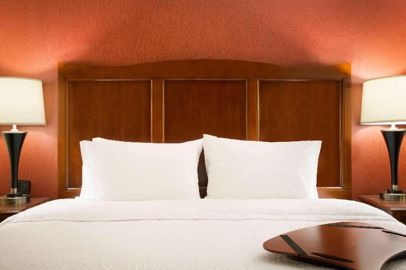 Hampton Inn & Suites Williston image