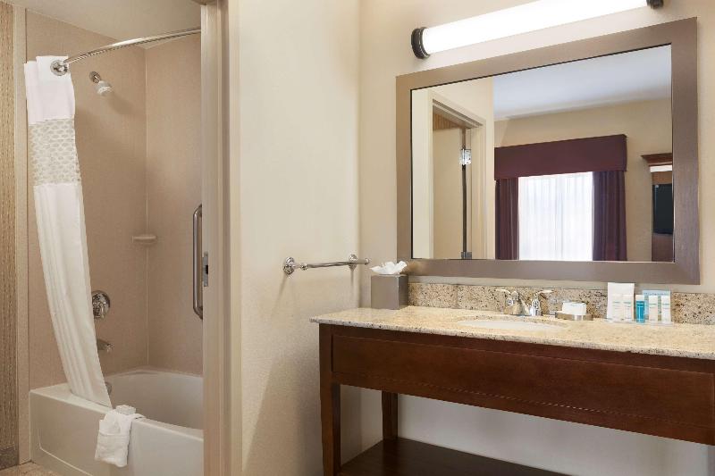 Hampton Inn & Suites Williston image