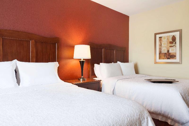 Hampton Inn & Suites Williston image