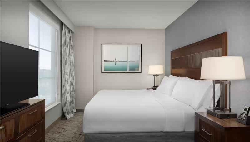 Embassy Suites Springfield, VA image
