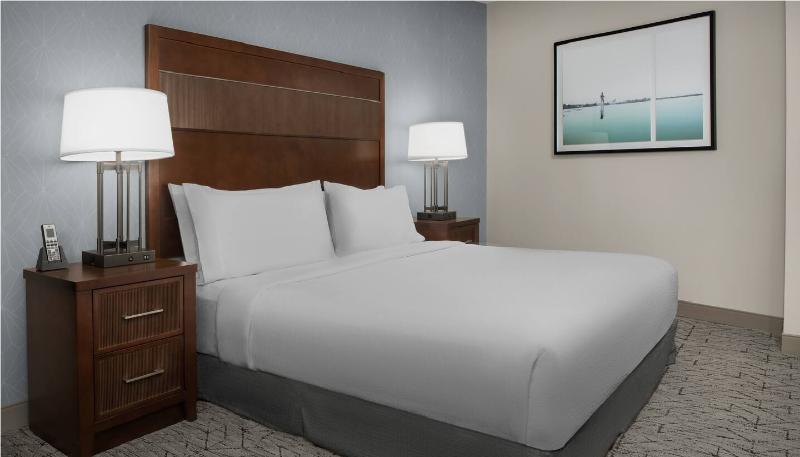 Embassy Suites Springfield, VA image