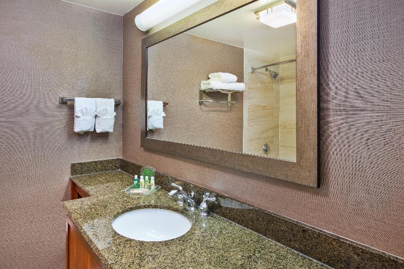 Holiday Inn Washington-Dulles Intl Airport By IHG image