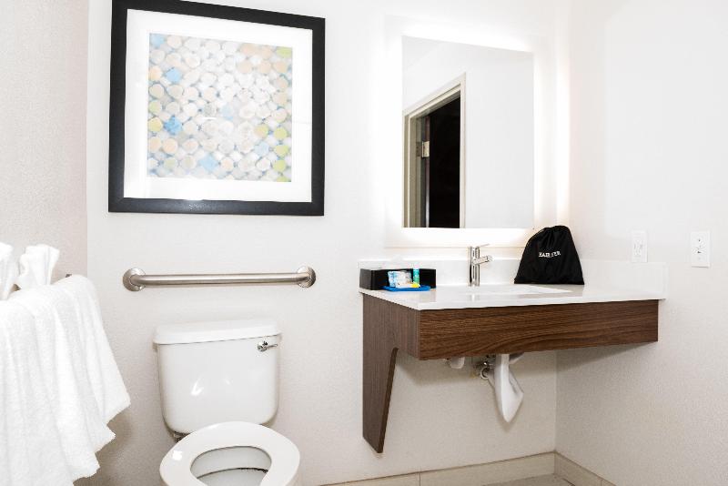 Holiday Inn Express & Sts Tampa USF Busch Gardens image