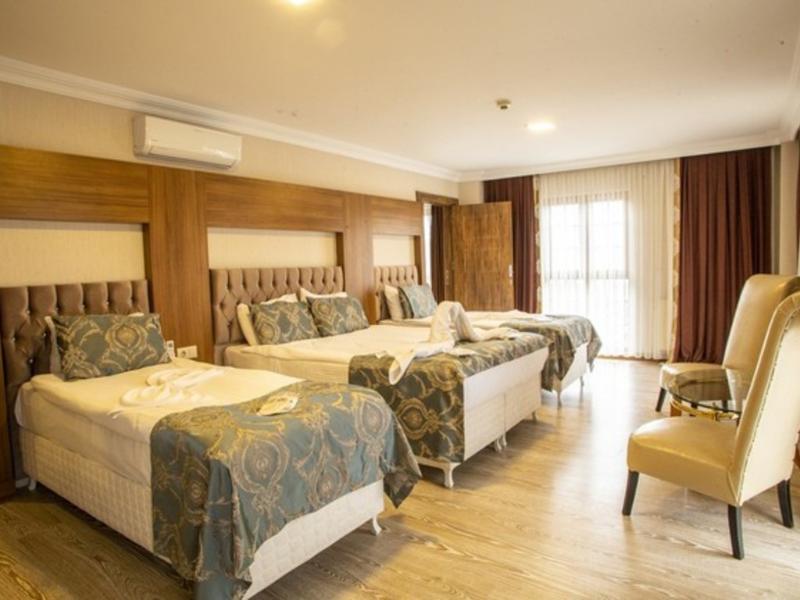 Bursa Palas Hotel image