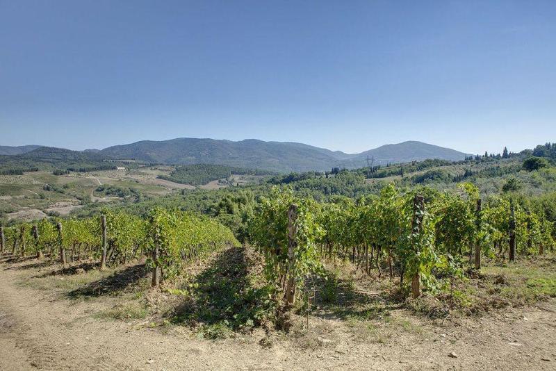 Agriturismo La Presura image