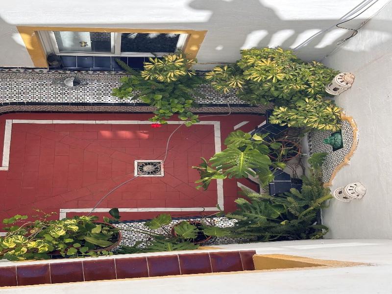 Hostel San Felipe image