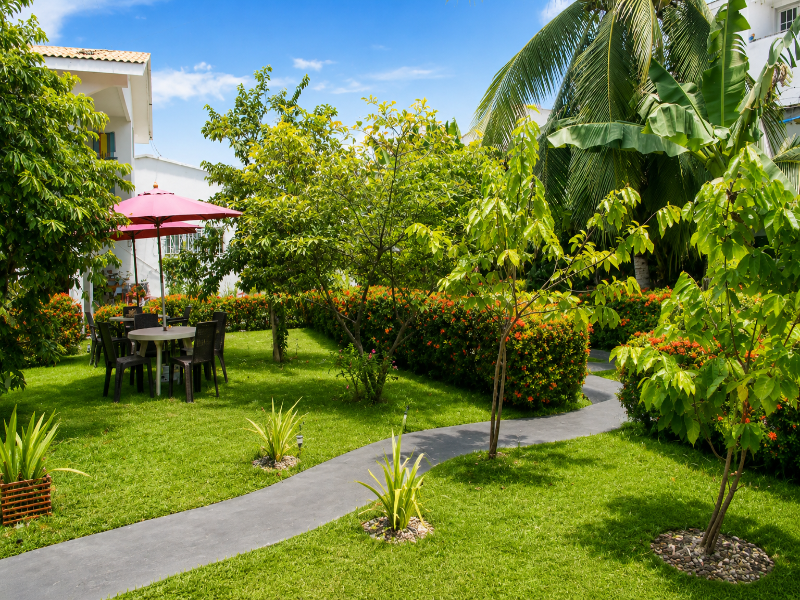Cabañas Green Yard — general view