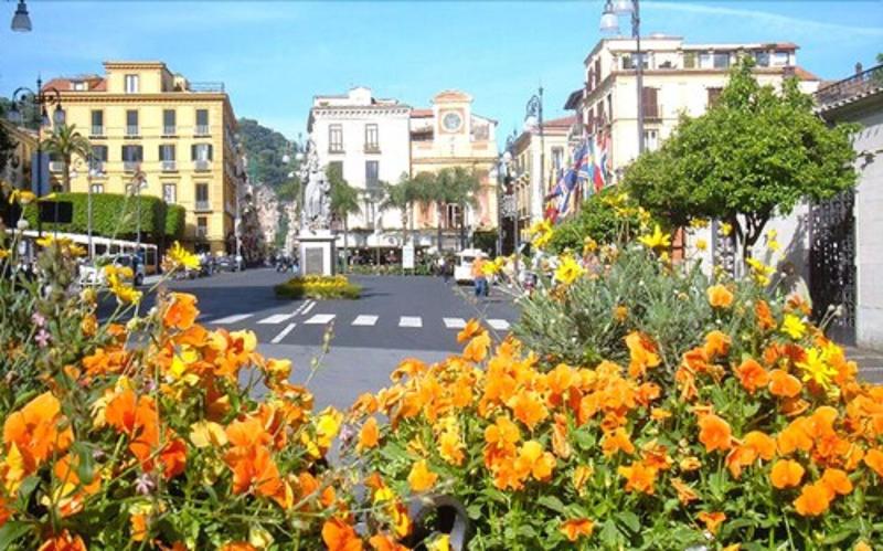The Night Guest House Sorrento image