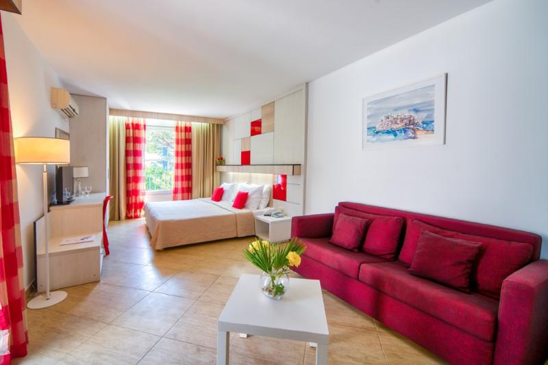 Slovenska Plaza Resort 3* image
