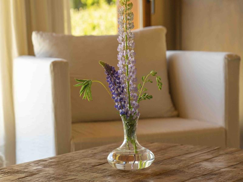 El Faro Boutique Hotel & Spa by DON image