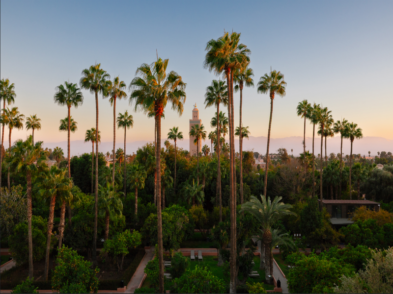 Medina Gardens image