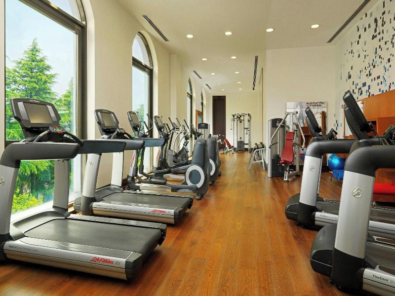 Sheraton Batumi Hotel image
