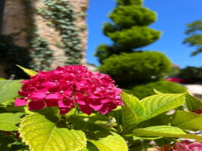 Hotel Les Vieilles Tours Rocamadour image
