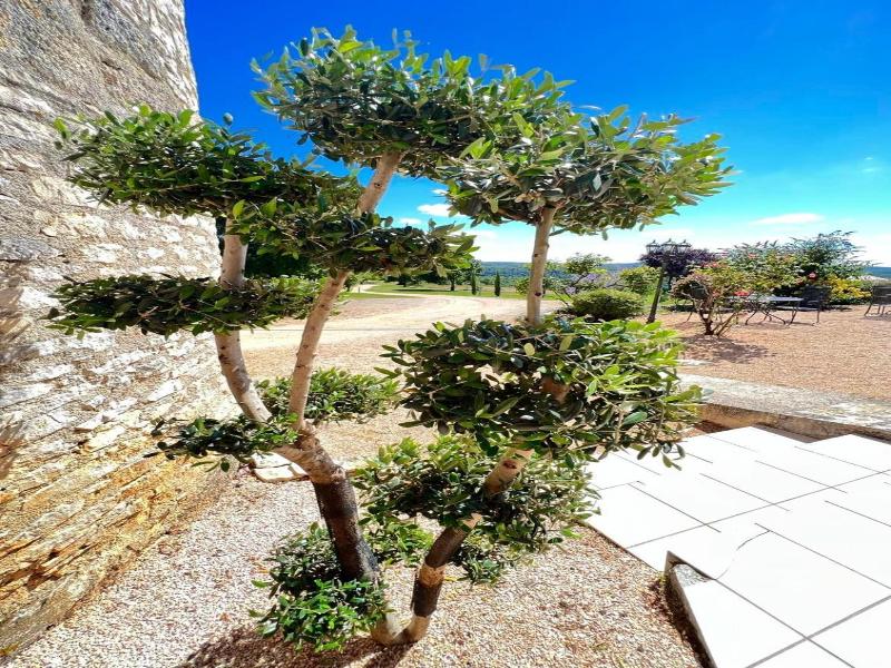 Hotel Les Vieilles Tours Rocamadour image