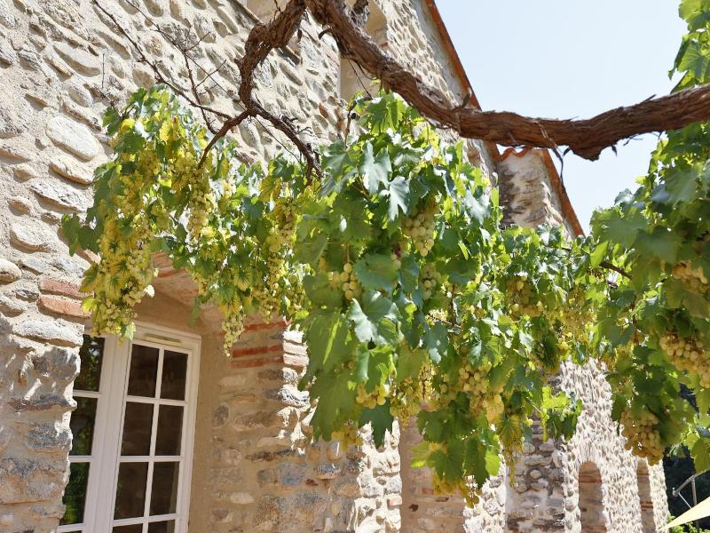 Hotel le Mas Trilles image